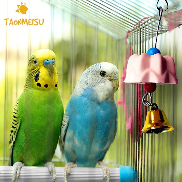 flower shaped parrot bird pet teeth care toy calcium milk grinding stone parrot chew toy randomly color
flower shaped parrot bird pet teeth care toy calcium milk grinding stone parrot chew toy randomly color