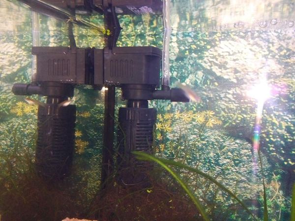 mini 3 в 1 многофункциональный аквариум очистки воды высокого качества рыбы танк фильтр 3w 220 ~ 240v 50hz ес plug fa009
mini 3 в 1 многофункциональный аквариум очистки воды высокого качества рыбы танк фильтр 3w 220 ~ 240v 50hz ес plug fa009