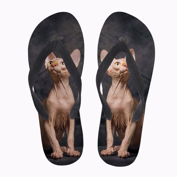 customized flip flops kawaii canadian hairless cat print women summer slippers woman casual slip-on flats flip flops for female, Black
customized flip flops kawaii canadian hairless cat print women summer slippers woman casual slip-on flats flip flops for female, Black