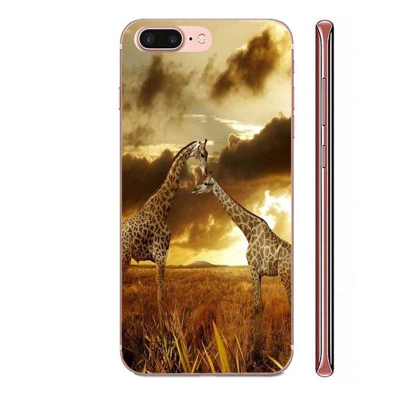 пользовательские прекрасные животные жирафов для galaxy note 10 a10e a10s a20s a30s a40s a50s a6s a70s a730 a8s m10s m30s lite plus тп cover
пользовательские прекрасные животные жирафов для galaxy note 10 a10e a10s a20s a30s a40s a50s a6s a70s a730 a8s m10s m30s lite plus тп cover