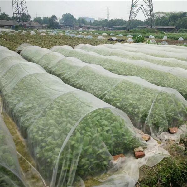 bug insect bird net barrier vegetables fruits flowers plant protection greenhouse garden netting fping
bug insect bird net barrier vegetables fruits flowers plant protection greenhouse garden netting fping