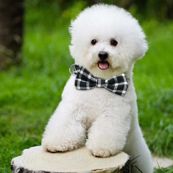 мода боутите щенок ошейник gentleman bowknot kitten cat ошейники регулируемый для малых средней кошки собаки chiahuahua
мода боутите щенок ошейник gentleman bowknot kitten cat ошейники регулируемый для малых средней кошки собаки chiahuahua