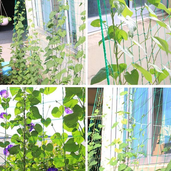 inew arrival garden green nylon trellis netting support climbing bean plant nets grow fence
inew arrival garden green nylon trellis netting support climbing bean plant nets grow fence