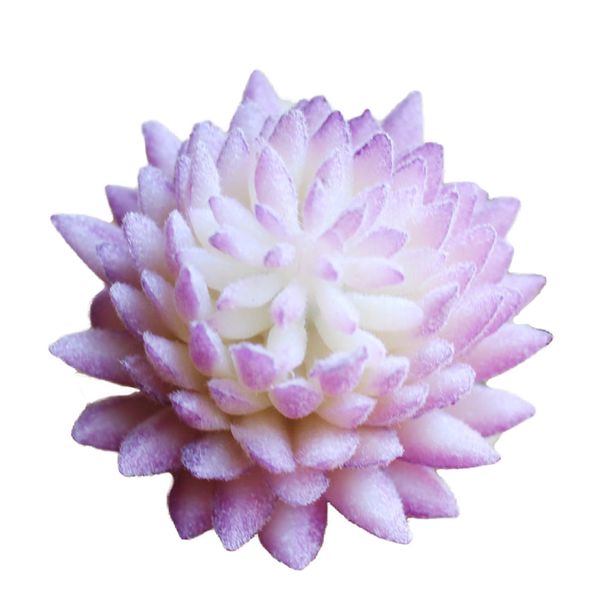 искусственные суккуленты мини-суккуленты поддельные суккуленты растения в горшке искусственные суккуленты для домашнего украшения журнальног
искусственные суккуленты мини-суккуленты поддельные суккуленты растения в горшке искусственные суккуленты для домашнего украшения журнальног