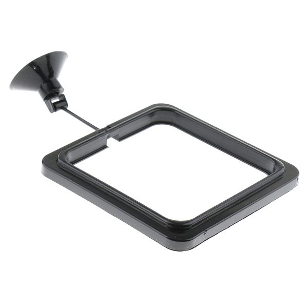 аквариум аквариум рыбы, кормление пищевыми продуктами хлопь кольцо фидера
аквариум аквариум рыбы, кормление пищевыми продуктами хлопь кольцо фидера