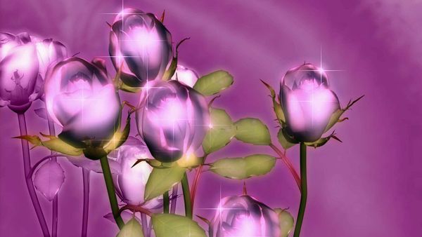 k015 flower shining purple rose 5d diy diamond painting home decoration wall painting of diamond mosaic embroidery painting
k015 flower shining purple rose 5d diy diamond painting home decoration wall painting of diamond mosaic embroidery painting