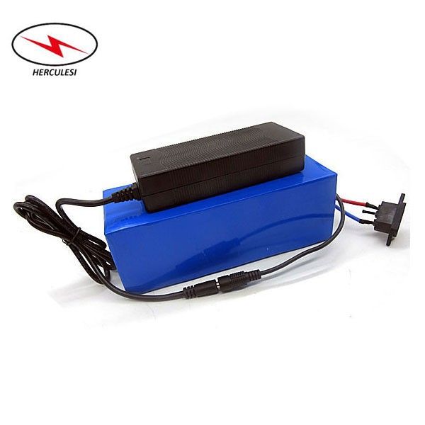 custom size electric bike 48v 20ah lithium ion battery pack e bike akku batterie for 1000w 1500w motor with charger and bms
custom size electric bike 48v 20ah lithium ion battery pack e bike akku batterie for 1000w 1500w motor with charger and bms