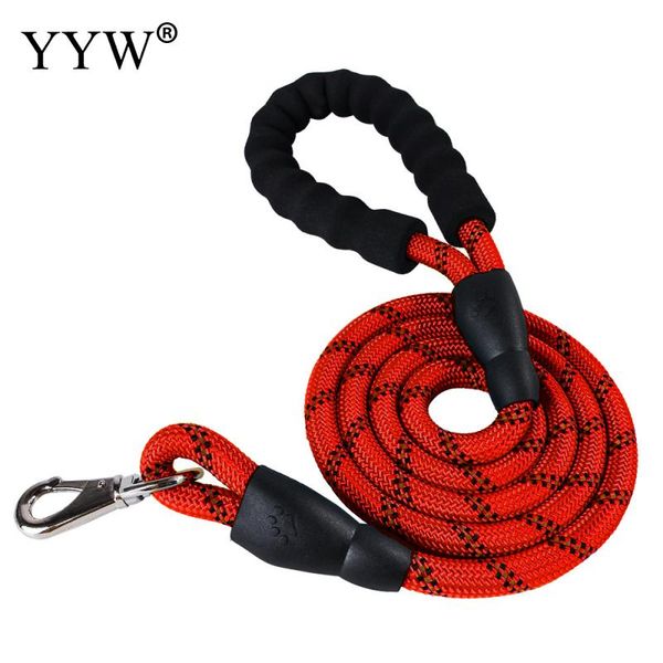 nylon round rope 14.5cm dog leash for small medium cats dogs harness leash soft walking pet puppy dog collar lead
nylon round rope 14.5cm dog leash for small medium cats dogs harness leash soft walking pet puppy dog collar lead