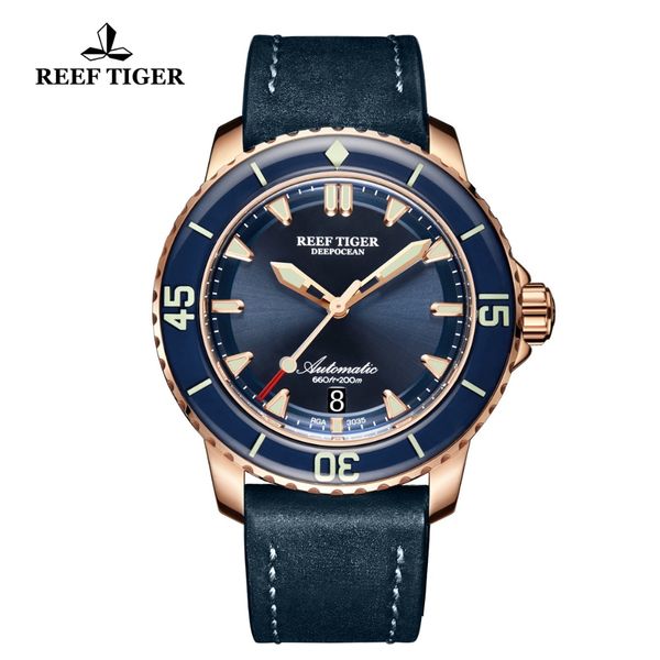 2019 new reef tiger/rt dive sport watches with chronograph date blue leather strap super luminous watch for men rga3035-plbc, Slivery;brown
2019 new reef tiger/rt dive sport watches with chronograph date blue leather strap super luminous watch for men rga3035-plbc, Slivery;brown