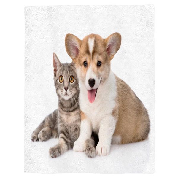 pet cute cat puppy fluffy spring and autumn soft flannel blanket office siesta blanket sofa bed
pet cute cat puppy fluffy spring and autumn soft flannel blanket office siesta blanket sofa bed