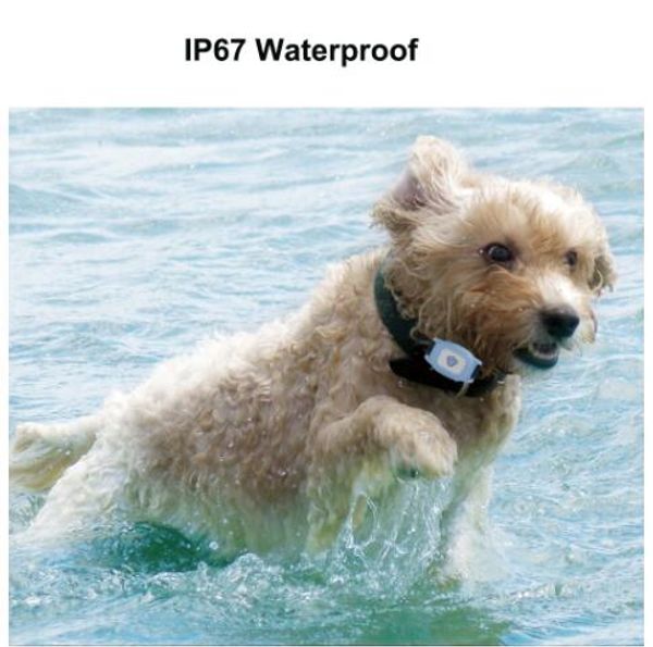 dog gps remotely control waterproof ip67 mini gps tracker realtime tracking longtime standby dog gps tracker collar for dog
dog gps remotely control waterproof ip67 mini gps tracker realtime tracking longtime standby dog gps tracker collar for dog