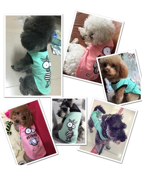 summer vest for dogs giraffi cute cotton pet cats small puppies animals costumes for dachshund toy terrier poodle
summer vest for dogs giraffi cute cotton pet cats small puppies animals costumes for dachshund toy terrier poodle