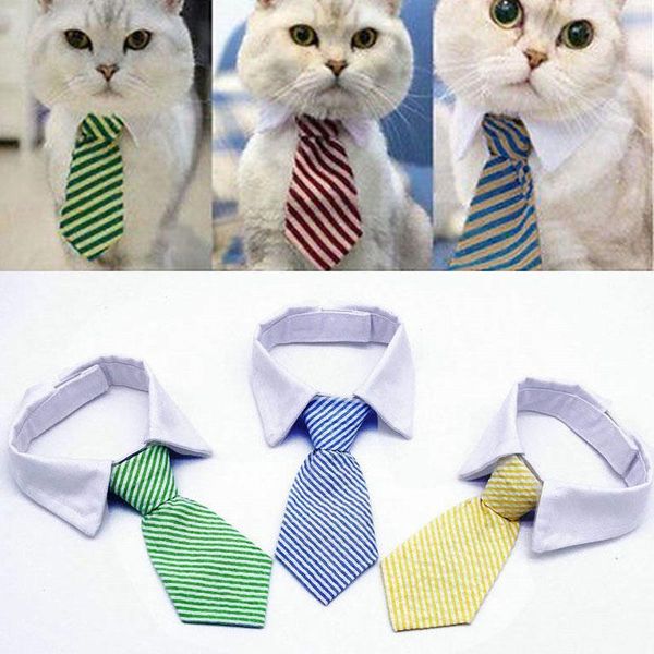 cat small animal полосатый галстук регулируемая домашних собак нашивки bow tie cute воротник боути воротник pet галстук белый ошейник галсту
cat small animal полосатый галстук регулируемая домашних собак нашивки bow tie cute воротник боути воротник pet галстук белый ошейник галсту