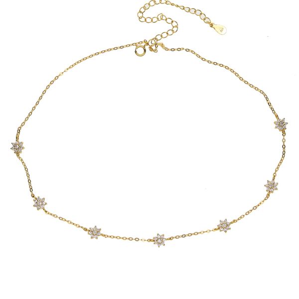 2020 sterling silver choker necklace for bridal gift 925 sterling silver wedding gift cute lovely cz flower chain elegance jewelry for women
2020 sterling silver choker necklace for bridal gift 925 sterling silver wedding gift cute lovely cz flower chain elegance jewelry for women