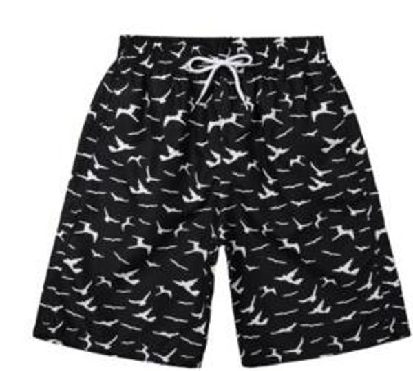 discount suits swimwear flexible stylish beach pants shorts,five points tides summer five points,loose and quick drying beach pants
discount suits swimwear flexible stylish beach pants shorts,five points tides summer five points,loose and quick drying beach pants