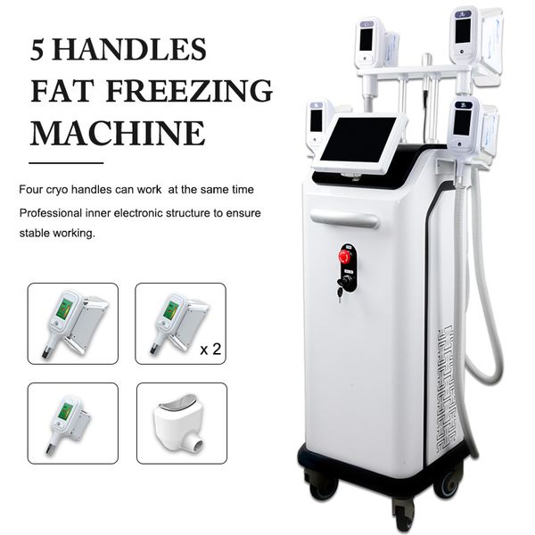 high end 5s cryolipolysis machine liposuction fat removal fat ing equipment criolipolisis vacuum slimming lipo weight loss
high end 5s cryolipolysis machine liposuction fat removal fat ing equipment criolipolisis vacuum slimming lipo weight loss