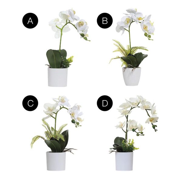 artificial butterfly orchid simulation flower bonsai silk flowers potted plant home office deskornaments wedding party decor
artificial butterfly orchid simulation flower bonsai silk flowers potted plant home office deskornaments wedding party decor