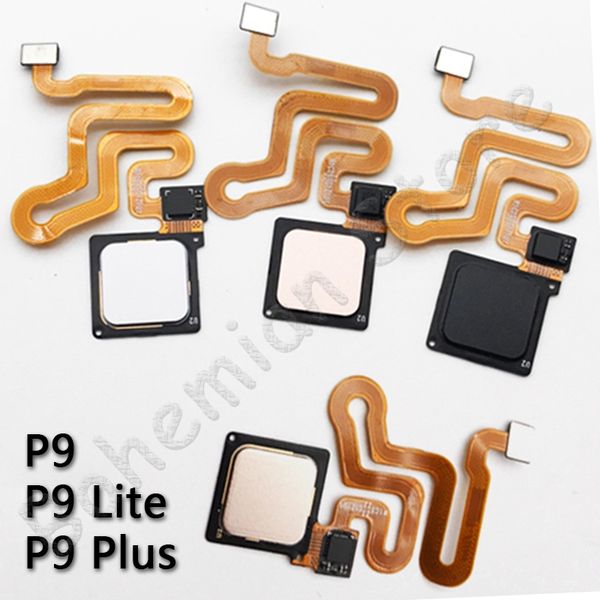 10psc home back button fingerprint sensor flex cable for huawei p9 plus lite mobile phone repair parts 
10psc home back button fingerprint sensor flex cable for huawei p9 plus lite mobile phone repair parts