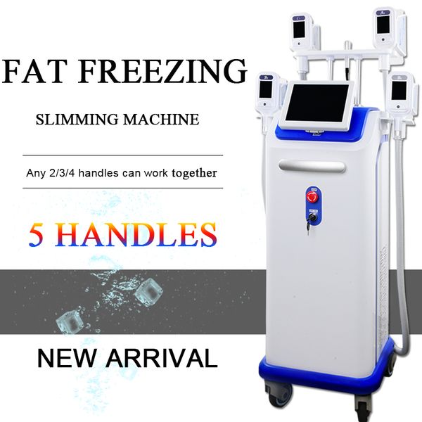 2020 cryolipolysis simultaneous working new fat ing slimming equipment cryolipolysis weight loss ce approved
2020 cryolipolysis simultaneous working new fat ing slimming equipment cryolipolysis weight loss ce approved