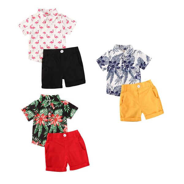 2020 new baby summer clothing 1-5y toddler baby boys clothes sets floral short sleeve shirts +solid shorts 2pcs outfits, White
2020 new baby summer clothing 1-5y toddler baby boys clothes sets floral short sleeve shirts +solid shorts 2pcs outfits, White