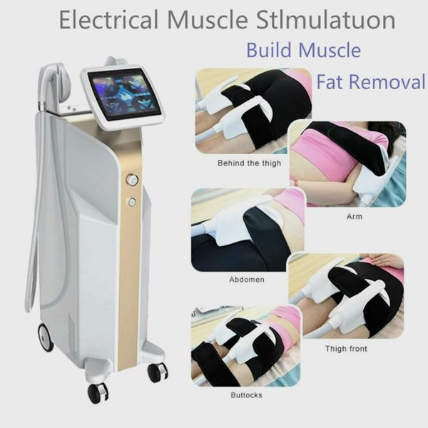 non-invasive body slimming muscle building emslims weight lose machine two magnetic stimulation applicators to treat your concerns
non-invasive body slimming muscle building emslims weight lose machine two magnetic stimulation applicators to treat your concerns