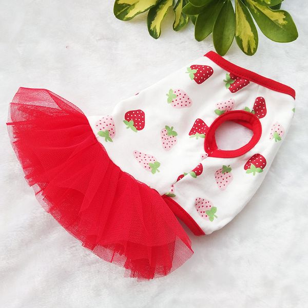 cute strawberry dog dress summer pet clothes tutu princess costume apparel pomeranian poodle bichon schnauzer dog clothing
cute strawberry dog dress summer pet clothes tutu princess costume apparel pomeranian poodle bichon schnauzer dog clothing