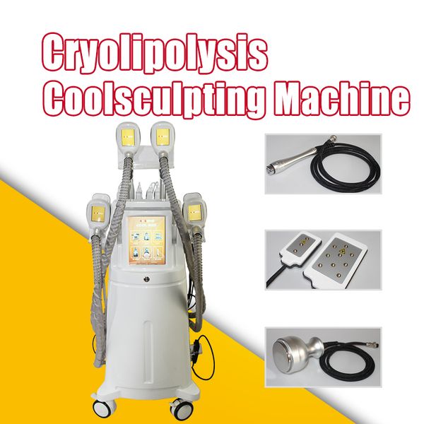 vacuum massage & cellulite machine with cryolipolysis cavitation lipo laser rf vacuum body sculpting
vacuum massage & cellulite machine with cryolipolysis cavitation lipo laser rf vacuum body sculpting