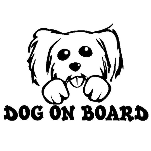 15cm*10.2cm dog on board lovely poodle vinyl sticker cute and interesting fashion sticker decals car decal
15cm*10.2cm dog on board lovely poodle vinyl sticker cute and interesting fashion sticker decals car decal
