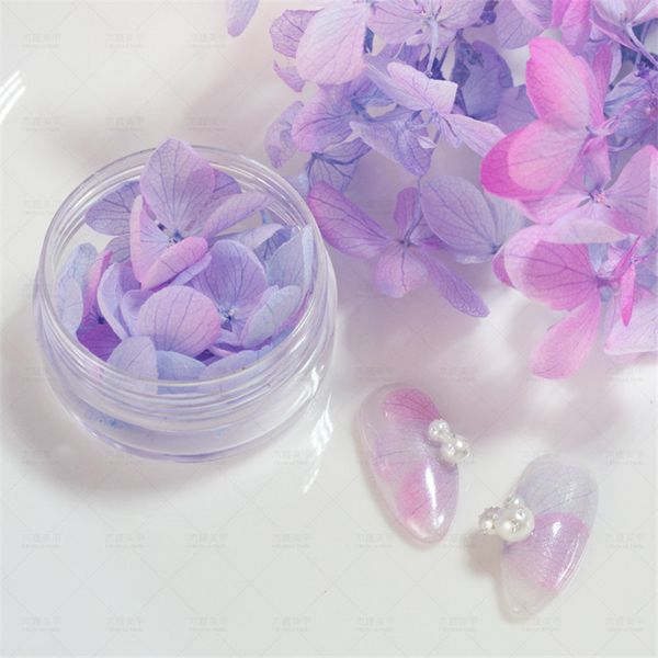 15pcs mini dry flower nail art decoration petals set natural hydrangea eternal pressed petals nail flower sticker for diy crafts
15pcs mini dry flower nail art decoration petals set natural hydrangea eternal pressed petals nail flower sticker for diy crafts