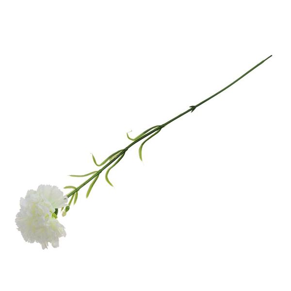 1pc diy fresh artificial flower carnation silk flower fake plant for mother's day home party decoration 50cm
1pc diy fresh artificial flower carnation silk flower fake plant for mother's day home party decoration 50cm