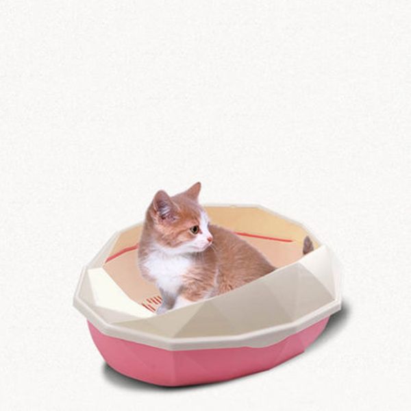 большого пластиковых pet туалет tray cat помет лотки box туалет wc бассейн kuwety dla kota easy clean кролик утка kit pet kitty b80 другие c
большого пластиковых pet туалет tray cat помет лотки box туалет wc бассейн kuwety dla kota easy clean кролик утка kit pet kitty b80 другие c