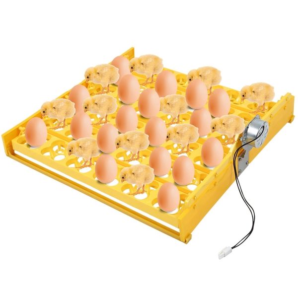 36 eggs automatic incubator egg tray egg incubator 220v motors home mini incubation equipment chicken farm poultry hatching devi
36 eggs automatic incubator egg tray egg incubator 220v motors home mini incubation equipment chicken farm poultry hatching devi
