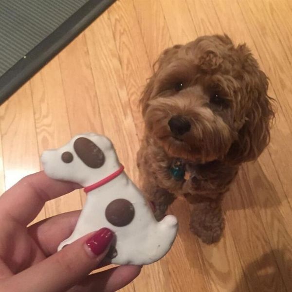 28 styles animal pet dog bone paw cookie cutter mold 3d sugar craft pastry biscuit fondant cake baking mold diy cake decorating
28 styles animal pet dog bone paw cookie cutter mold 3d sugar craft pastry biscuit fondant cake baking mold diy cake decorating