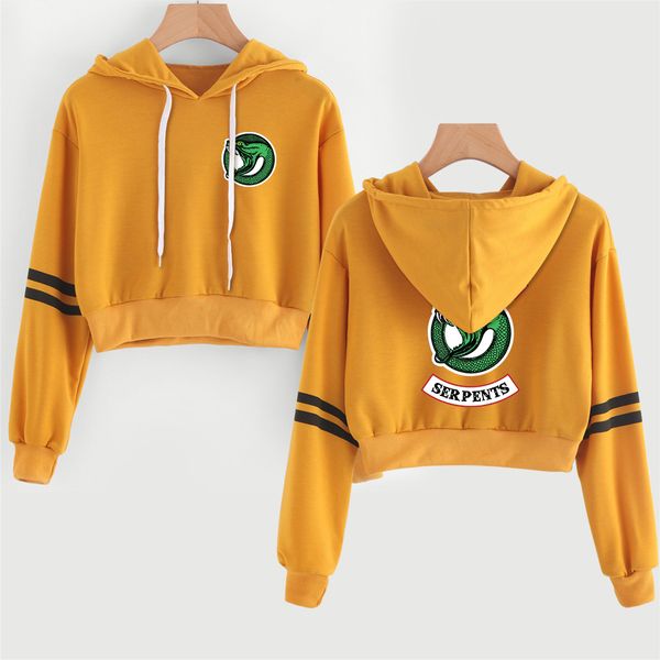 women's hoodies & sweatshirts 2021 harajuku striped hooded hoody kpop southside serpents crop hoodie pullover sweatshirt women, Black
women's hoodies & sweatshirts 2021 harajuku striped hooded hoody kpop southside serpents crop hoodie pullover sweatshirt women, Black