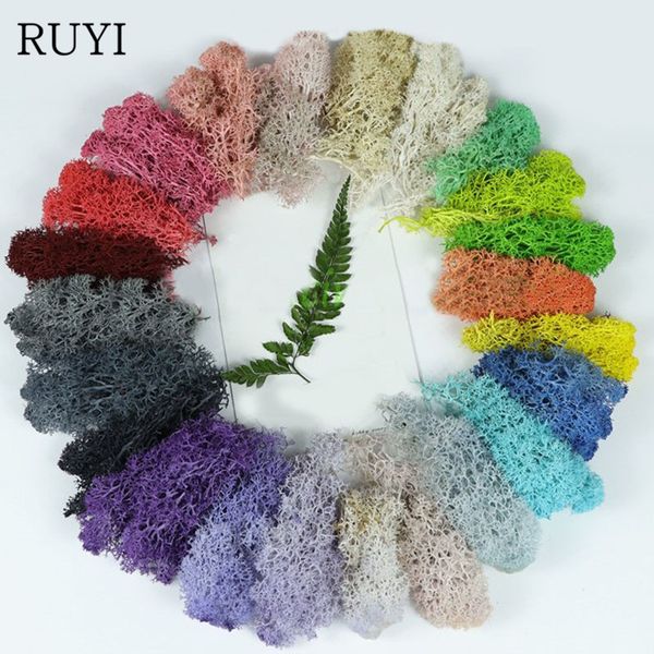 500g/lot artificial plant eternal life moss / garden home decor wall diy flower material mini garden micro landscape accessories
500g/lot artificial plant eternal life moss / garden home decor wall diy flower material mini garden micro landscape accessories