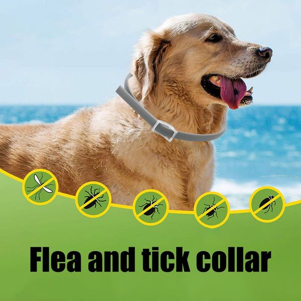 summer anti flea mosquitoes ticks pet collar anti insects for pet 90 days protection waterproof cat dog flea collar
summer anti flea mosquitoes ticks pet collar anti insects for pet 90 days protection waterproof cat dog flea collar