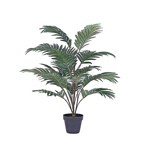 70cm tropical coconut tree small scattered tail tree greenery potted living room bonsai decoration artificial fake
70cm tropical coconut tree small scattered tail tree greenery potted living room bonsai decoration artificial fake