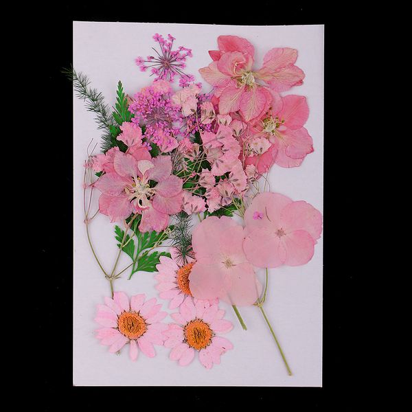 много смешанный real прессованного цветка сухоцветы scrapbooking крышка телефона crafts
много смешанный real прессованного цветка сухоцветы scrapbooking крышка телефона crafts