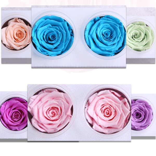 1 box 3 heads flowers preserved flowers flower immortal rose 6cm diameter eternal life flower material gift box
1 box 3 heads flowers preserved flowers flower immortal rose 6cm diameter eternal life flower material gift box