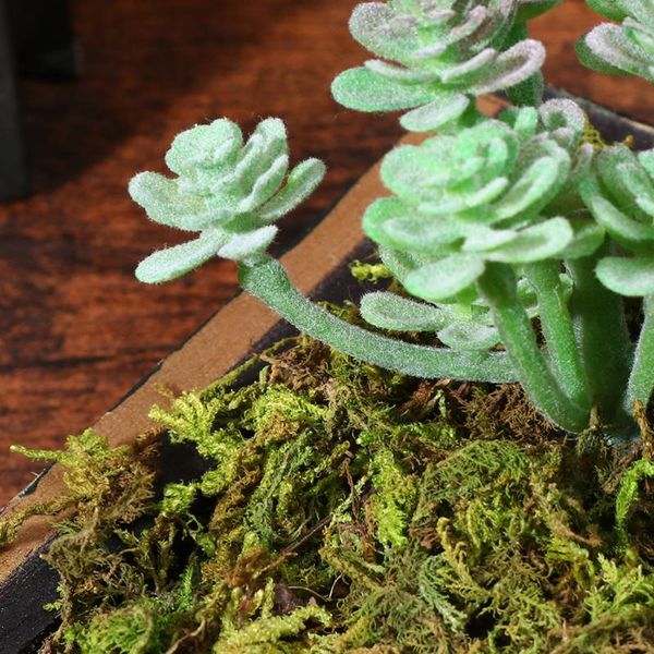 3 packs artificial moss lichen decoration simulation fake green plants ornament for home garden patio (about 150g
3 packs artificial moss lichen decoration simulation fake green plants ornament for home garden patio (about 150g