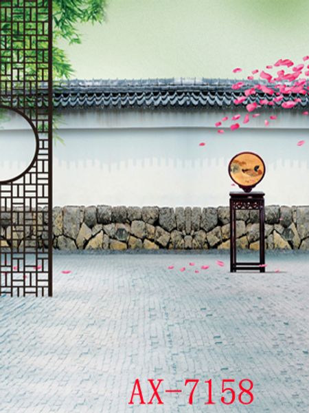 graphy backdrops custom portrait cloth digital printed p props p studio background ax-7158
graphy backdrops custom portrait cloth digital printed p props p studio background ax-7158
