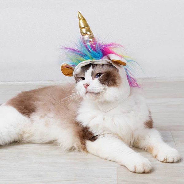 hat for dog cat pet halloween party cap headwear lovely decorating star cap fancy dress costume pet accessories
hat for dog cat pet halloween party cap headwear lovely decorating star cap fancy dress costume pet accessories