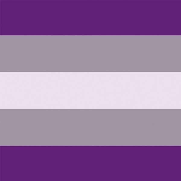 selling graysexual pride flag flying banner decoration indoor or out door polyester advertising 3x5ft 150x90cm, ing
selling graysexual pride flag flying banner decoration indoor or out door polyester advertising 3x5ft 150x90cm, ing