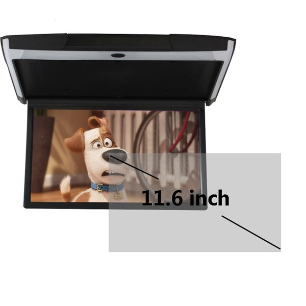 mp5 player 11.6 inch ips screen super slim hd 1080p roof mount monitor with usb sd hdmi sperker ir fm touch button car display
mp5 player 11.6 inch ips screen super slim hd 1080p roof mount monitor with usb sd hdmi sperker ir fm touch button car display