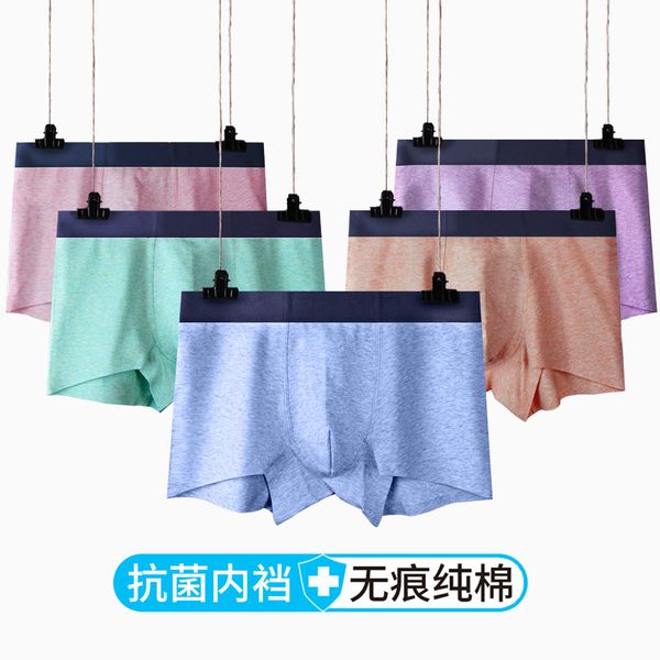 3pcs/lot for men panties ice silk mesh men plus size underwear comforty shorts men's underpants, Black;white
3pcs/lot for men panties ice silk mesh men plus size underwear comforty shorts men's underpants, Black;white