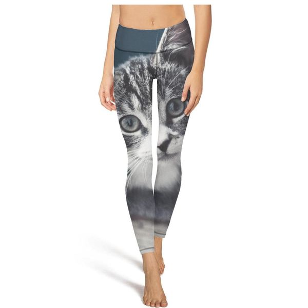 любовь catfashion дамы дизайн йога брюки нет ноги свободный tight подходит для тренировки cat смешные кошки пространство каваи котенка mugsh, Black
любовь catfashion дамы дизайн йога брюки нет ноги свободный tight подходит для тренировки cat смешные кошки пространство каваи котенка mugsh, Black