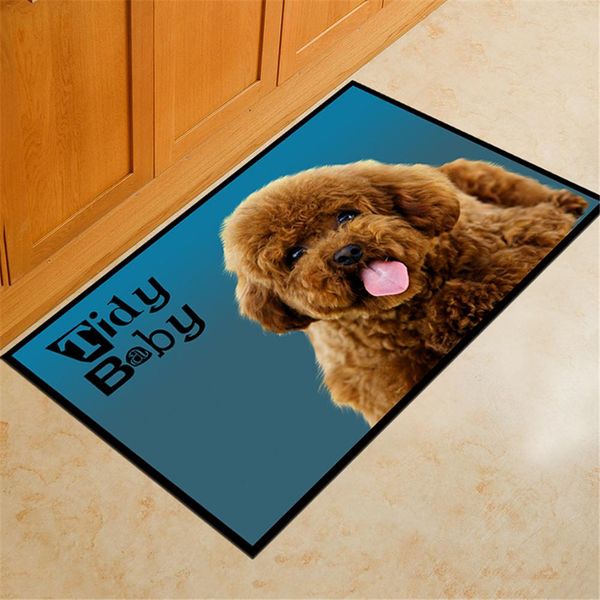 kitchen floor mat toilet door mat bedroom bed carpet machine water washable pet carpet 40*60cm
kitchen floor mat toilet door mat bedroom bed carpet machine water washable pet carpet 40*60cm