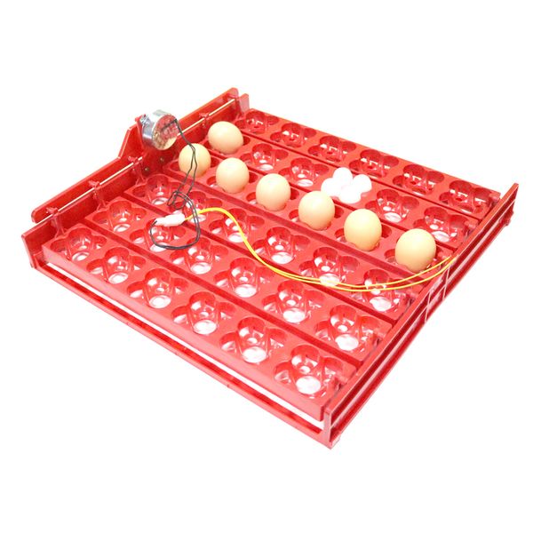 36 eggs /144 bird eggs automatic incubator incubation equipment duck goose pigeon quail the birds poultry incubator equipment
36 eggs /144 bird eggs automatic incubator incubation equipment duck goose pigeon quail the birds poultry incubator equipment