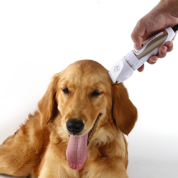 high-power professional pet clippers dog shaver charge electric dog hair cutter dogs hair trimmer machine other pet supplies
high-power professional pet clippers dog shaver charge electric dog hair cutter dogs hair trimmer machine other pet supplies