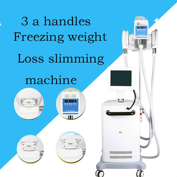 cryolipolysis weight loss 3 handles vacuum cold cryotherapy fat ing slimming machine body shape machine cryo fat er
cryolipolysis weight loss 3 handles vacuum cold cryotherapy fat ing slimming machine body shape machine cryo fat er